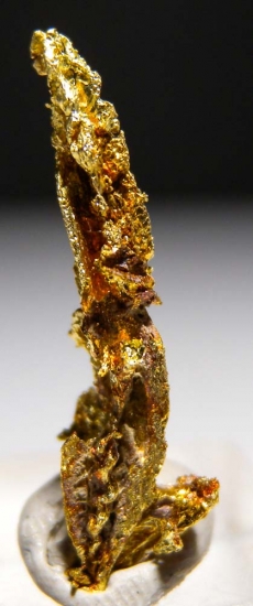 Gold from Aouint Ighoumane, Assa-Zag Province, Guelmim-Oued Noun Region, Morocco [db_pics/pics/au175a.jpg]