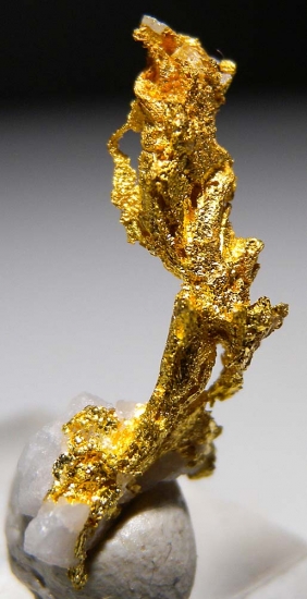 Gold on Quartz from Aouint Ighoumane, Assa-Zag Province, Guelmim-Oued Noun Region, Morocco [db_pics/pics/au177b.jpg]