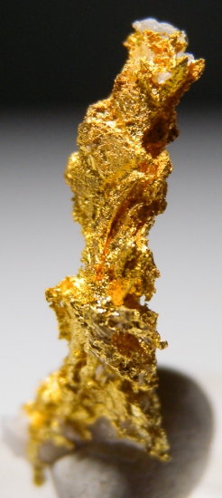 Gold on Quartz from Aouint Ighoumane, Assa-Zag Province, Guelmim-Oued Noun Region, Morocco [db_pics/pics/au177d.jpg]