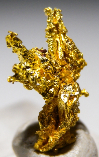 Gold from Aouint Ighoumane, Assa-Zag Province, Guelmim-Oued Noun Region, Morocco [db_pics/pics/au178b.jpg]