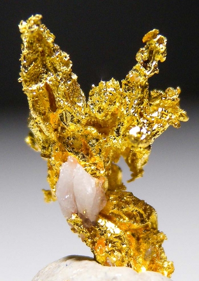 Gold from Aouint Ighoumane, Assa-Zag Province, Guelmim-Oued Noun Region, Morocco [db_pics/pics/au178c.jpg]