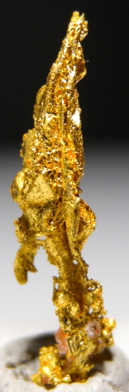Gold from Aouint Ighoumane, Assa-Zag Province, Guelmim-Oued Noun Region, Morocco [db_pics/pics/au179a.jpg]