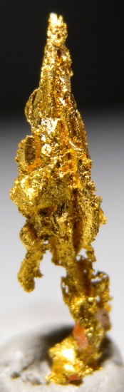 Gold from Aouint Ighoumane, Assa-Zag Province, Guelmim-Oued Noun Region, Morocco [db_pics/pics/au179c.jpg]