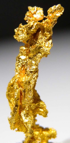 Gold from Aouint Ighoumane, Assa-Zag Province, Guelmim-Oued Noun Region, Morocco [db_pics/pics/au181d.jpg]