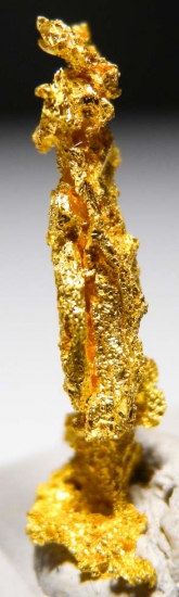 Gold from Aouint Ighoumane, Assa-Zag Province, Guelmim-Oued Noun Region, Morocco [db_pics/pics/au181e.jpg]