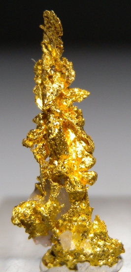 Gold from Aouint Ighoumane, Assa-Zag Province, Guelmim-Oued Noun Region, Morocco [db_pics/pics/au182a.jpg]