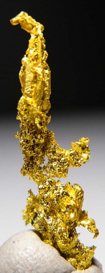 Gold from Aouint Ighoumane, Assa-Zag Province, Guelmim-Oued Noun Region, Morocco [db_pics/pics/au183c.jpg]