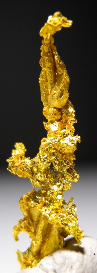 Gold from Aouint Ighoumane, Assa-Zag Province, Guelmim-Oued Noun Region, Morocco [db_pics/pics/au183d.jpg]