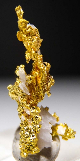 Gold from Aouint Ighoumane, Assa-Zag Province, Guelmim-Oued Noun Region, Morocco [db_pics/pics/au184b.jpg]