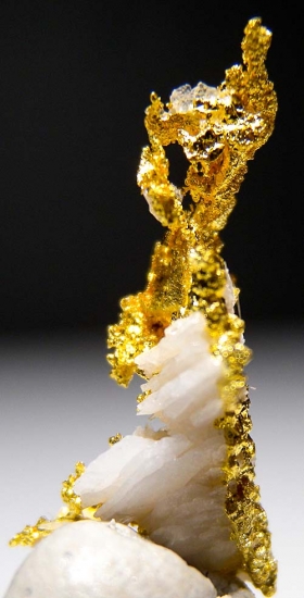 Gold from Aouint Ighoumane, Assa-Zag Province, Guelmim-Oued Noun Region, Morocco [db_pics/pics/au184d.jpg]