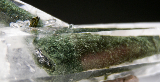 Chlorite in Quartz from Balochistan, Pakistan [db_pics/pics/au311f.jpg]