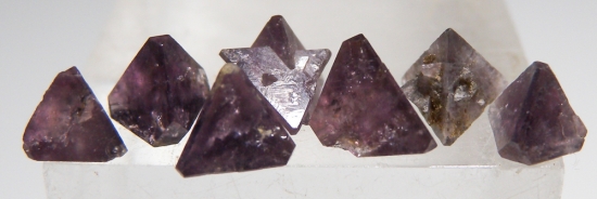 Chambersite (7 crystals) from Venice Salt Dome, Louisiana, USA [db_pics/pics/au365a.jpg]
