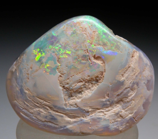 Opal after Clam from Coober Pedy, South Australia, Australia [db_pics/pics/au368a.jpg]