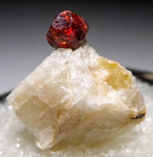 Spessartine from Amelia Courthouse, Virginia, USA [db_pics/pics/au518a.jpg]