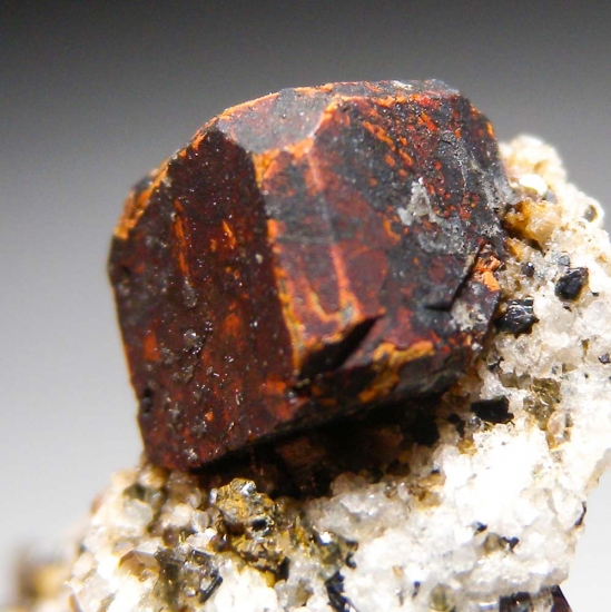 Cafarsite from Wannigletscher, Scherbadung, Valais (Wallis), Switzerland [db_pics/pics/au520c.jpg]