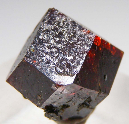 Almandine from Copper Hill Dist., Ducktown, Tennessee, USA [db_pics/pics/au525d.jpg]