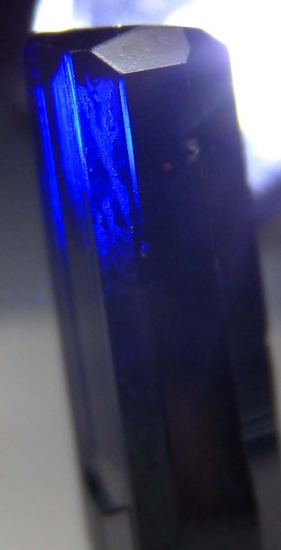 Azurite from Tsumeb, Namibia [db_pics/pics/au530c.jpg]