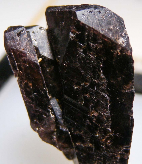 Axinite from Toroku Mine, Miyazaki Pref., Japan [db_pics/pics/au534d.jpg]