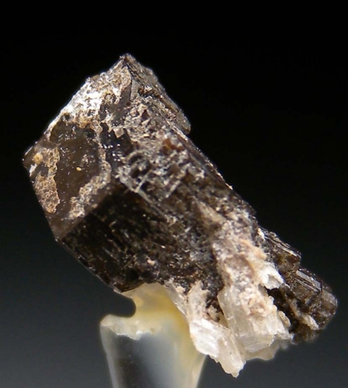 Birnessite from Mont St. Hilaire, Quebec, Canada [db_pics/pics/au535b.jpg]