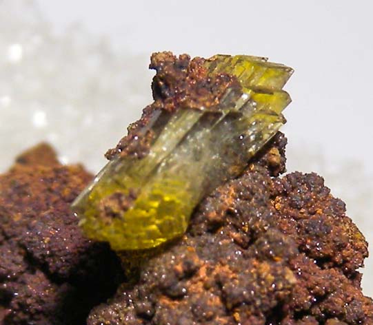 Paradamite from Mina Oujela, Mapimi, Durango, Mexico [db_pics/pics/au537c.jpg]