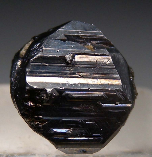 Andorite from San Jose Mine, Oruro, Bolivia [db_pics/pics/au554a.jpg]