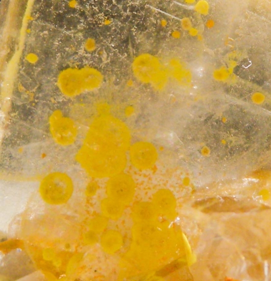 Barite with Orpiment inclusions from Regent Mine, Mineral Co., Nevada, USA [db_pics/pics/au558f.jpg]