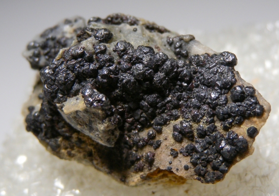 Metacinnabar from Mt. Diablo Mine, Clayton, Contra Costa Co., California, USA [db_pics/pics/au563a.jpg]