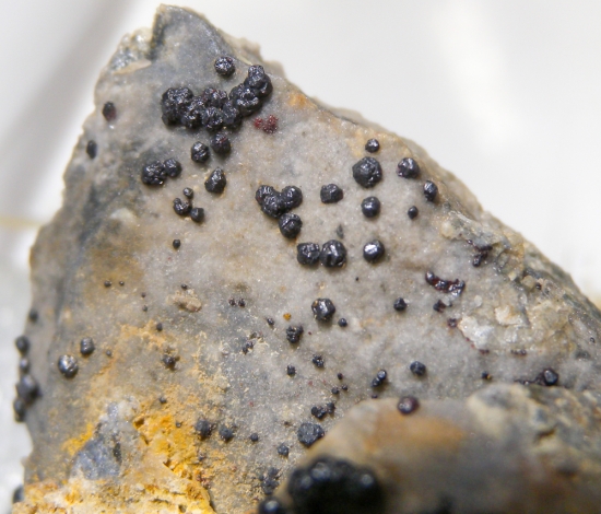 Metacinnabar from Mt. Diablo Mine, Contra Costa Co., California, USA [db_pics/pics/au636d.jpg]