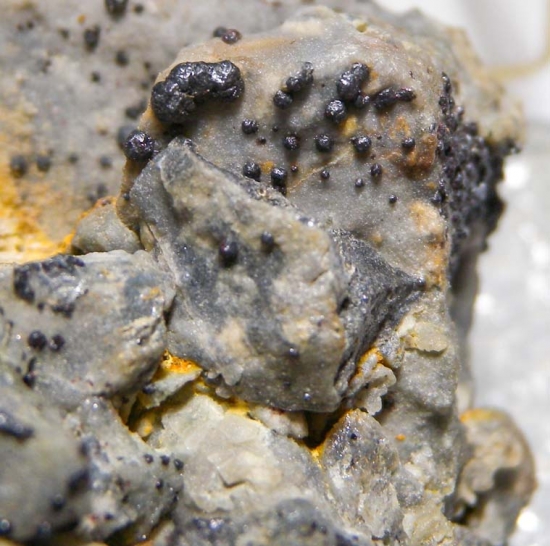 Metacinnabar from Mt. Diablo Mine, Contra Costa Co., California, USA [db_pics/pics/au636e.jpg]