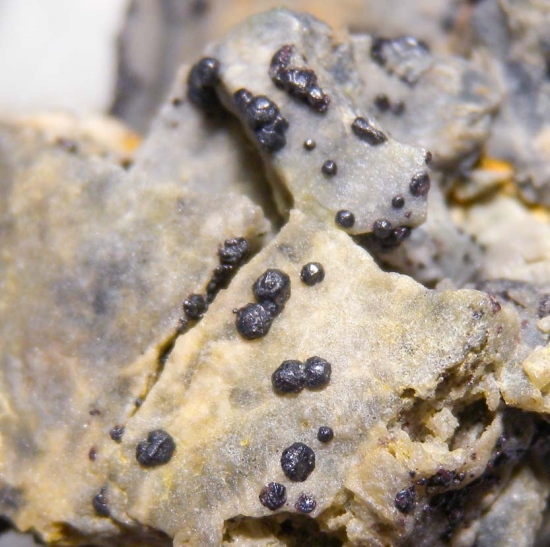Metacinnabar from Mt. Diablo Mine, Contra Costa Co., California, USA [db_pics/pics/au636f.jpg]