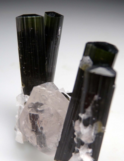 Tourmaline on Quartz from Stak Nala, Skardu, Pakistan [db_pics/pics/au647b.jpg]