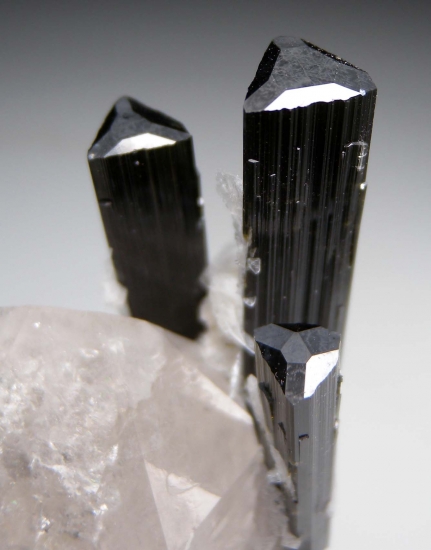 Tourmaline on Quartz from Stak Nala, Skardu, Pakistan [db_pics/pics/au648e.jpg]