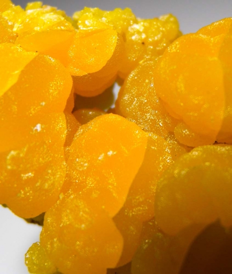 Mimetite from San Pedro Corralitos, Chihuahua, Mexico [db_pics/pics/au679e.jpg]