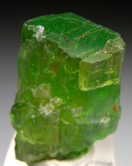Tremolite from Merelani Hills, Arusha, Tanzania [db_pics/pics/au681a.jpg]