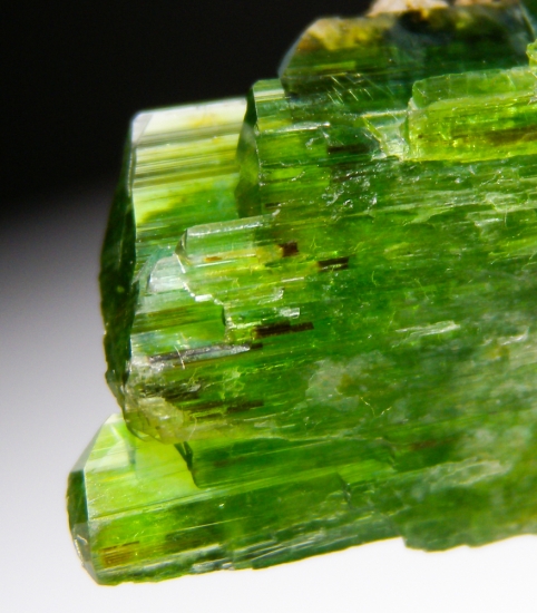 Tremolite from Merelani Hills, Arusha, Tanzania [db_pics/pics/au685f.jpg]