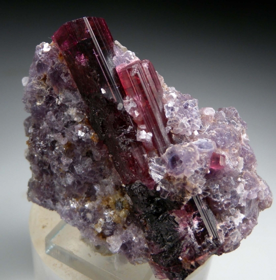 Tourmaline on Lepidolite from Stewart Mine, Pala, San Diego Co., California, USA [db_pics/pics/au724a.jpg]