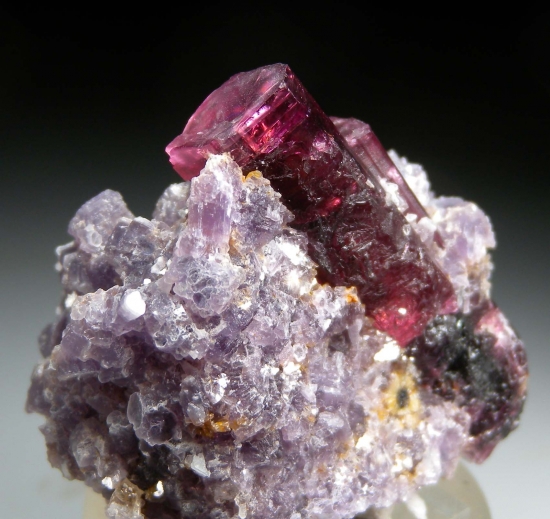 Tourmaline on Lepidolite from Stewart Mine, Pala, San Diego Co., California, USA [db_pics/pics/au724c.jpg]