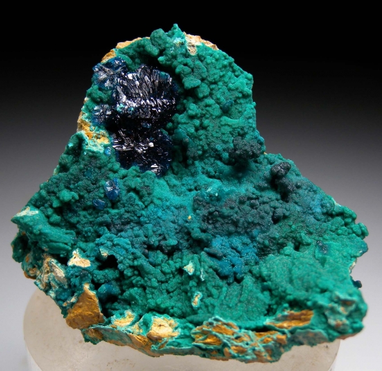 Veszelyite on Zincolibethenite from Palabanda quarries, Mfouati, Bouenza Department, Republic of the Congo [db_pics/pics/au797a.jpg]