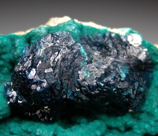 Veszelyite on Zincolibethenite from Palabanda quarries, Mfouati, Bouenza Department, Republic of the Congo [db_pics/pics/au803c.jpg]