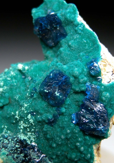 Veszelyite on Zincolibethenite from Palabanda quarries, Mfouati, Bouenza Department, Republic of the Congo [db_pics/pics/au807b.jpg]