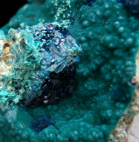 Veszelyite on Zincolibethenite from Palabanda quarries, Mfouati, Bouenza Department, Republic of the Congo [db_pics/pics/au807d.jpg]