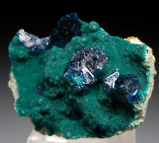 Veszelyite on Zincolibethenite from Palabanda quarries, Mfouati, Bouenza Department, Republic of the Congo [db_pics/pics/au808b.jpg]
