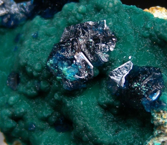 Veszelyite on Zincolibethenite from Palabanda quarries, Mfouati, Bouenza Department, Republic of the Congo [db_pics/pics/au808c.jpg]
