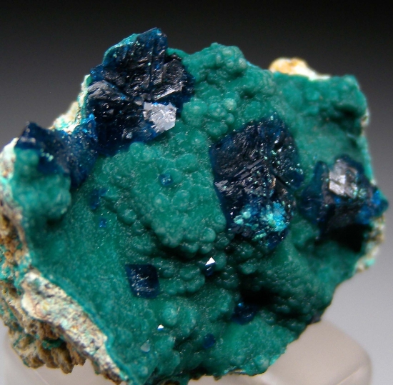 Veszelyite on Zincolibethenite from Palabanda quarries, Mfouati, Bouenza Department, Republic of the Congo [db_pics/pics/au808d.jpg]