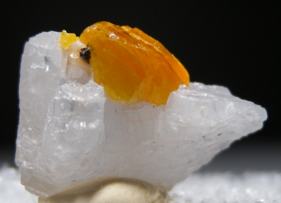 Chondrodite from Mogok, Myanmar [db_pics/pics/au944a.jpg]