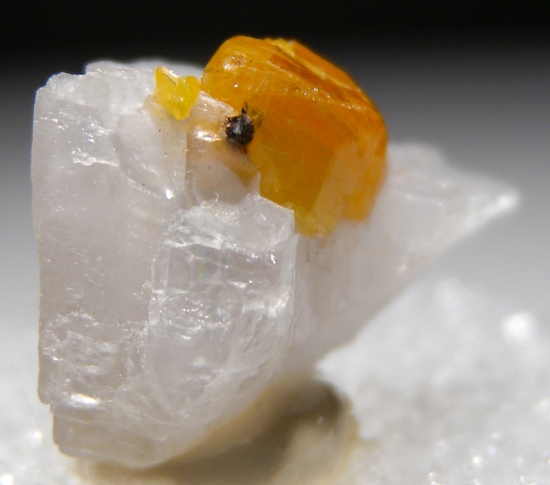 Chondrodite from Mogok, Myanmar [db_pics/pics/au944b.jpg]