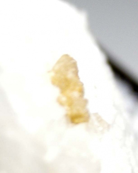 Hingganite-(Y) from Trimouns Talc Mine, France [db_pics/pics/au945e.jpg]