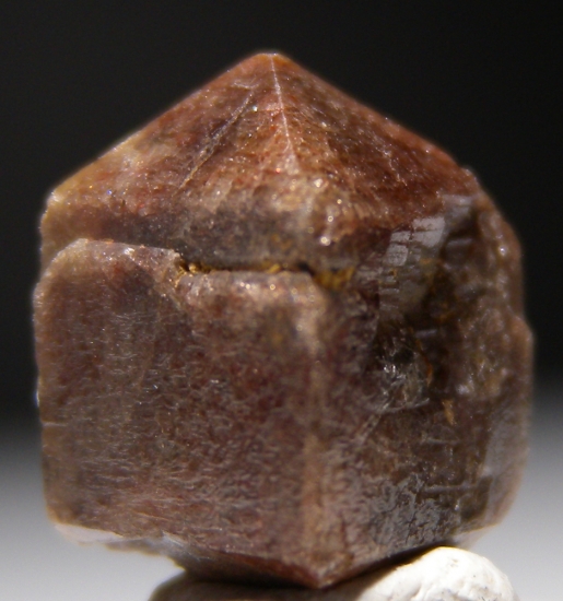 Zircon from Freeman Mine, North Carolina, USA [db_pics/pics/au946b.jpg]