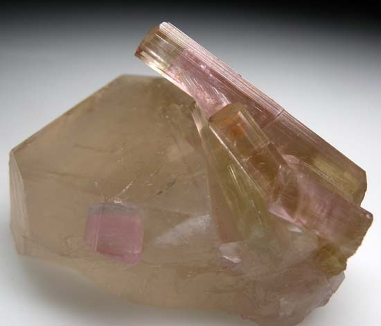 Elbaite on Quartz from Himalaya Mine, Mesa Grande, San Diego Co., California [db_pics/pics/b139a.jpg]
