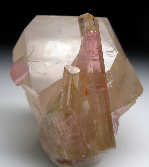 Elbaite on Quartz from Himalaya Mine, Mesa Grande, San Diego Co., California [db_pics/pics/b139b.jpg]